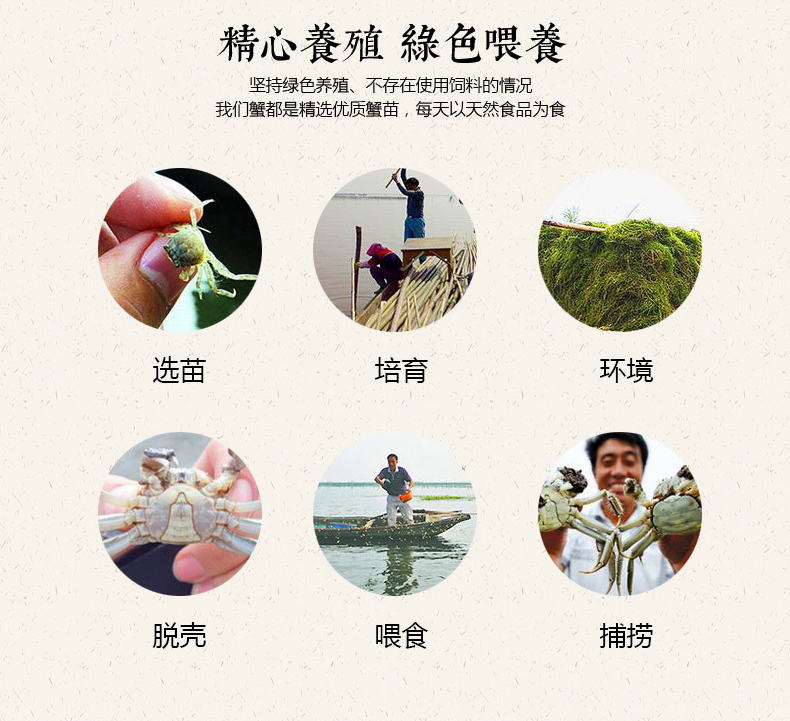 澄沁详情_04.jpg