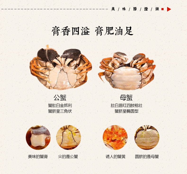 澄沁详情_05.jpg