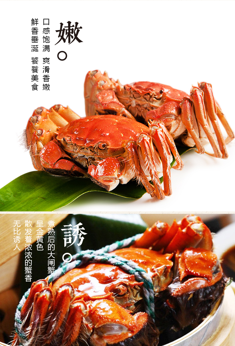 澄沁详情_08.jpg